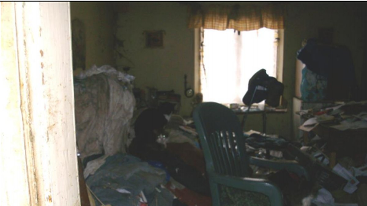 Ett av rummen i huset där katterna hölls.